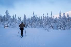 Woman skiing into white trees covered in snow