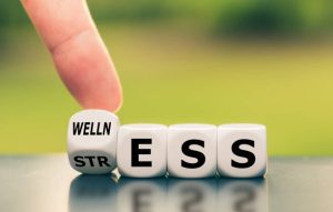 Turning stress into wellness dice